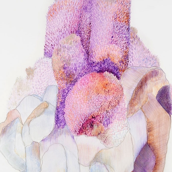 https://ftp.mirunadragan.com/files/gimgs/th-23_Erratics-Draw3-detail-web_v2.jpg