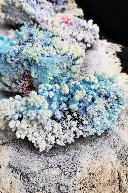 https://ftp.mirunadragan.com/files/gimgs/th-71_IMG_20210124_143311_Flower_01_W.jpg